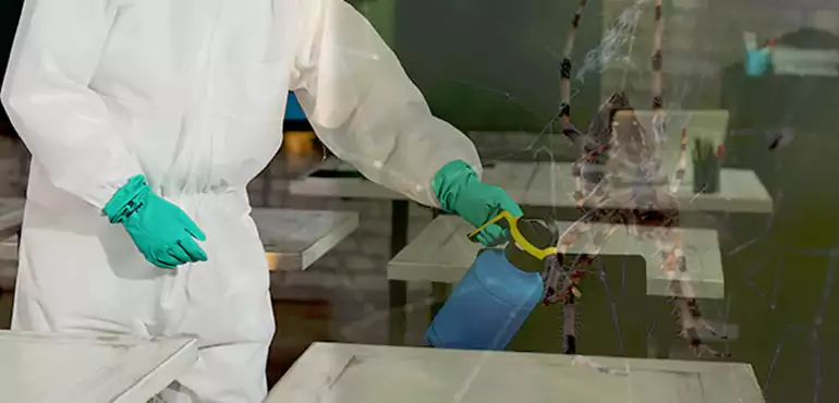 Why Buyers Still Want Homes With Pest Infestations in Mesquite, TX?