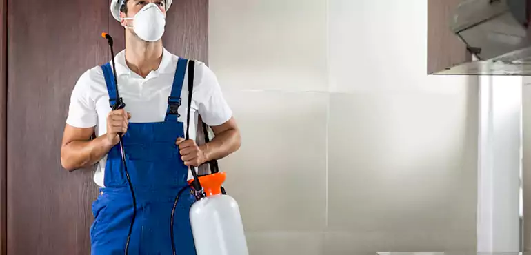 Why Mesquite Homeowners Choose Us When Pests Make Selling Difficult