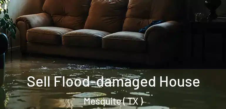  Sell Flood-damaged House Mesquite ( TX )
