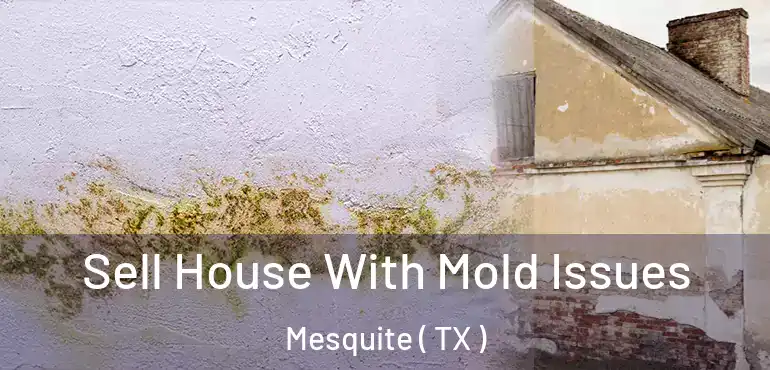  Sell House With Mold Issues Mesquite ( TX )